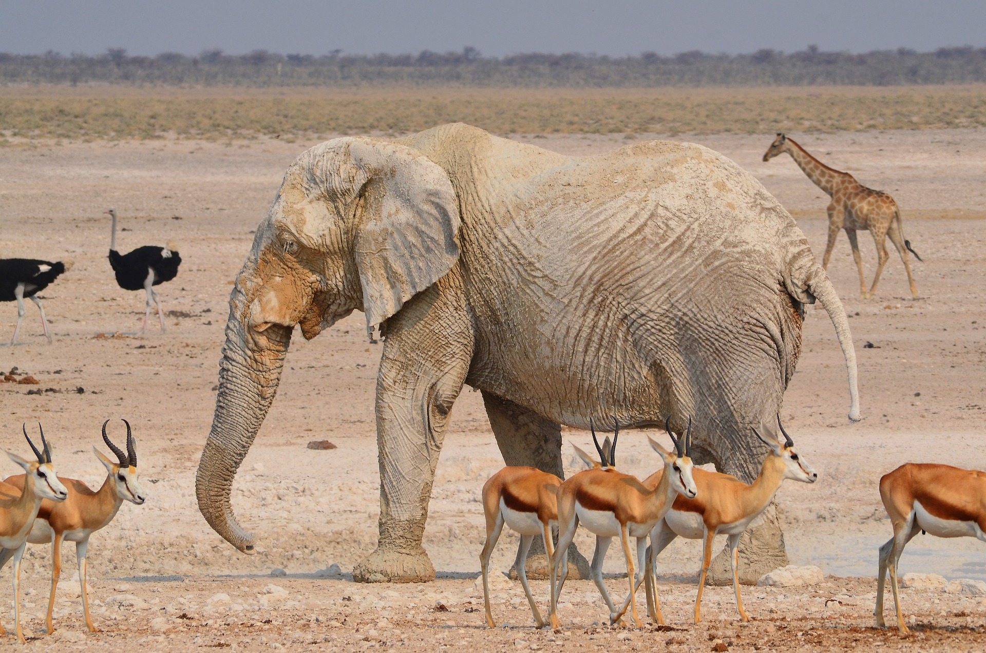 Namibia MBros Viaggi