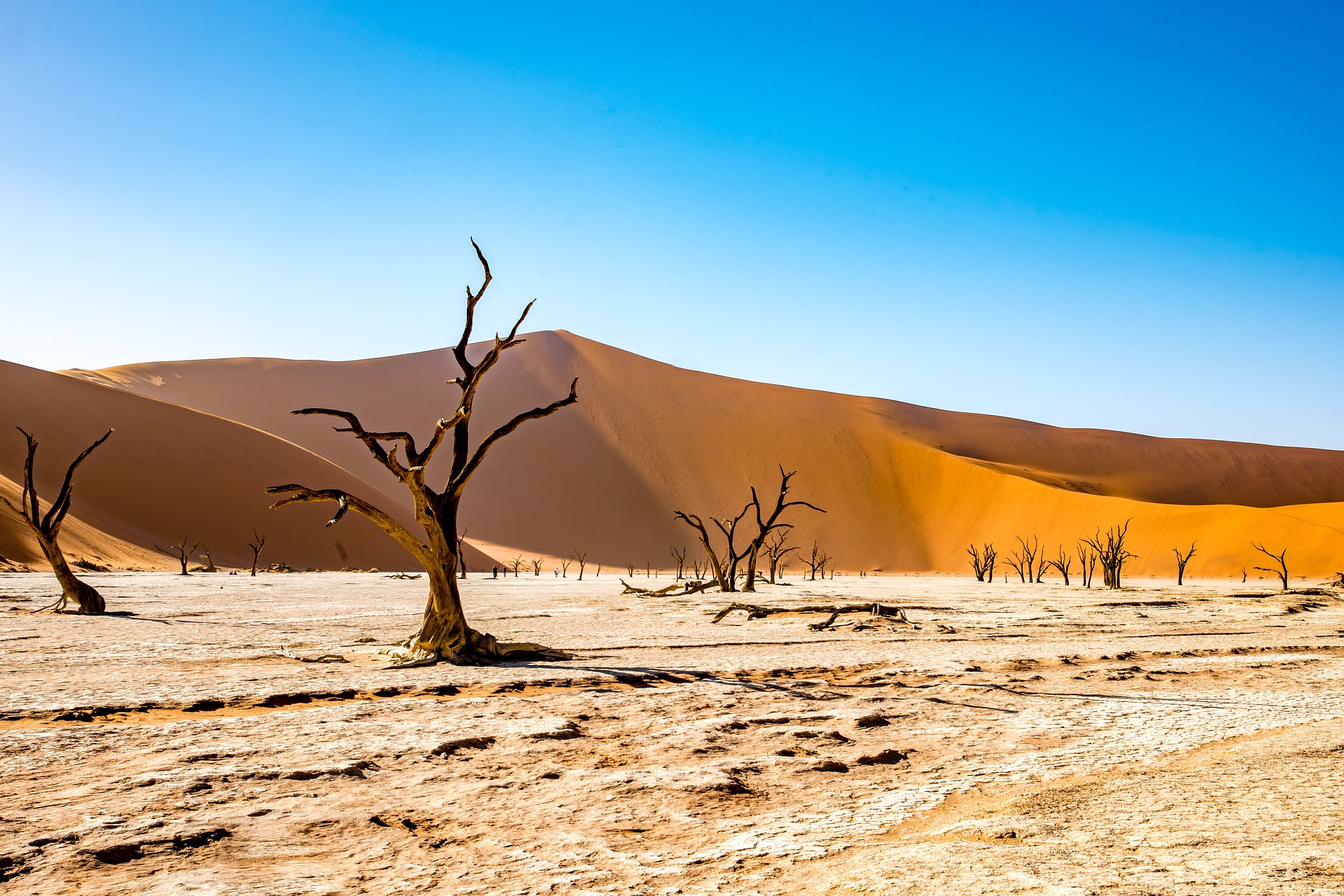 Namibia MBros Viaggi