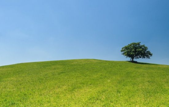 Lista nozze MBros Viaggi